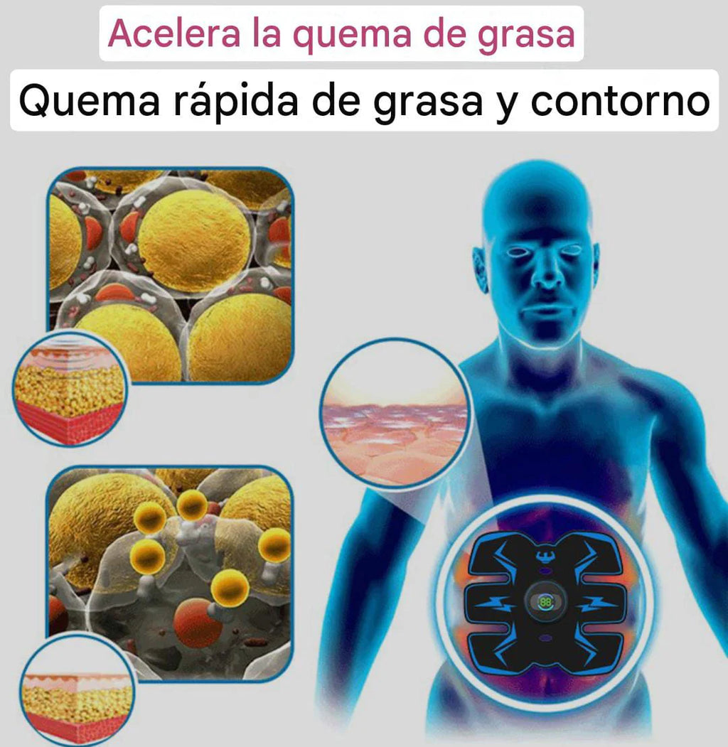 TONIFICADOR DE ABDOMEN 3 EN 1 : Define tu abdomen y alivia la tensión muscular en minutos